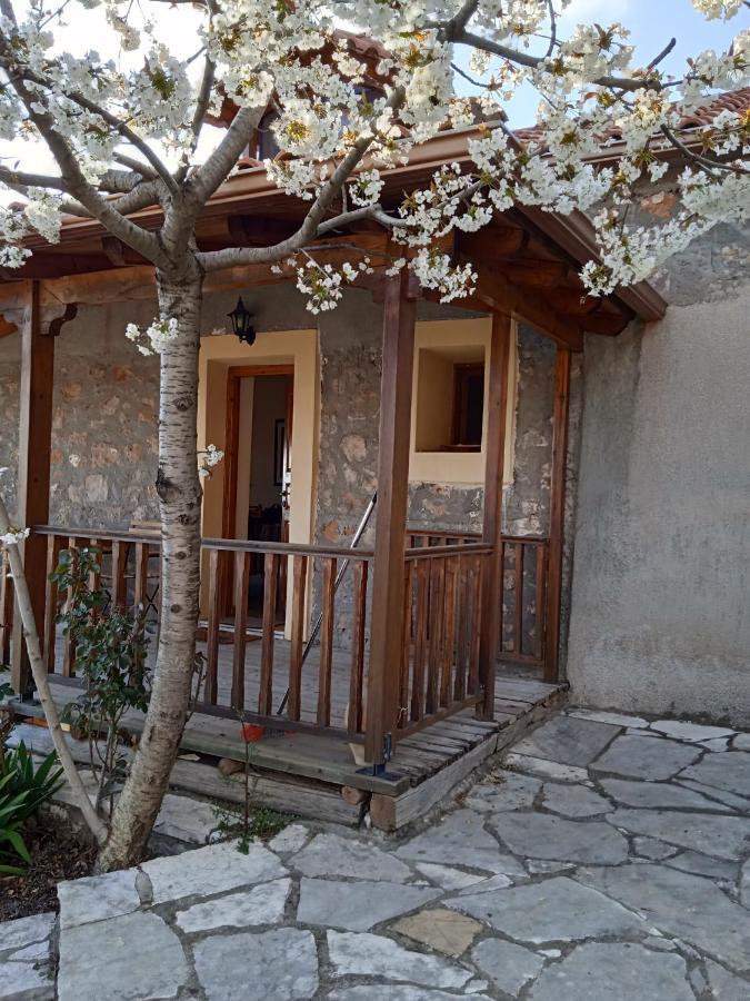 Arcadianis Lakeview Villa At Psari Arkadias Psárion Dış mekan fotoğraf